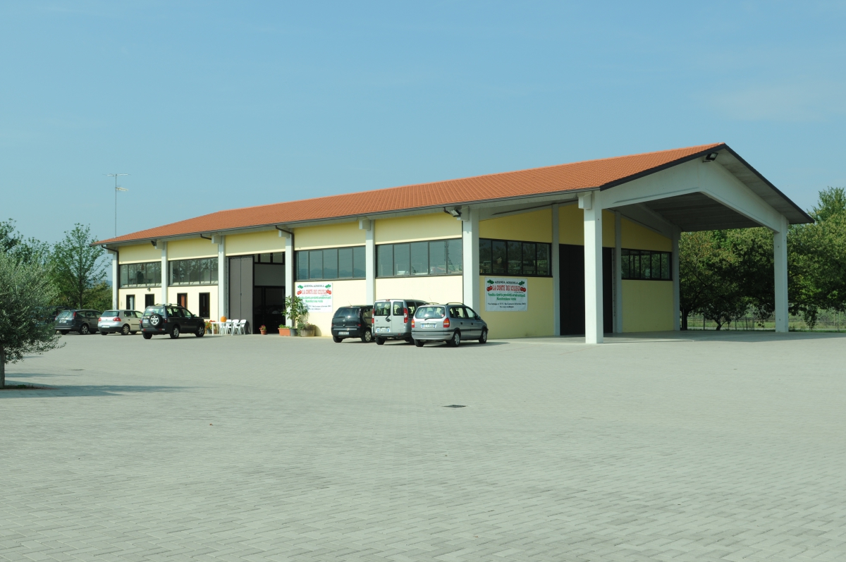 2DSC 3560